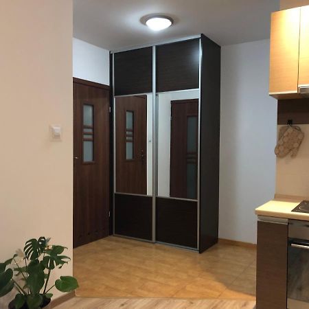 Warminska Oaza Apartment Opolznevoye Bagian luar foto